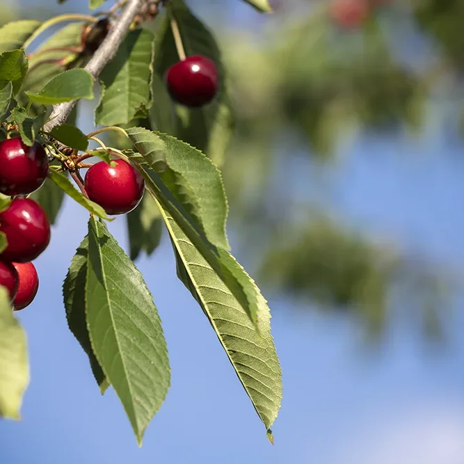 <strong>Paysages #1184 - Château-Thierry | 02</strong> <small>© Rémy SALAÜN</small>