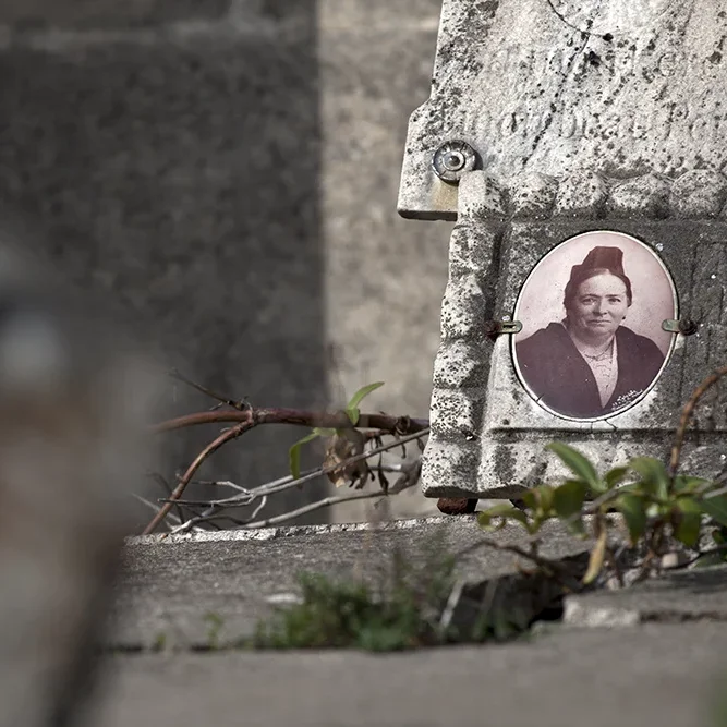 <strong>Chers Disparus #255 - </strong> <small>© Rémy SALAÜN</small>