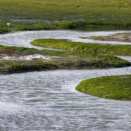 <strong>Paysages #1122 - Pleudihen-sur-Rance | 22</strong> <small>© Rémy SALAÜN</small>