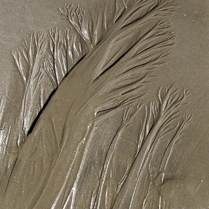 <strong>Vue Sur Mer #661 - Erdeven | 56</strong> <small>© Rémy SALAÜN</small>