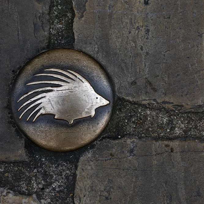 <strong>Pérégrinations #1267 - Blois | 41</strong> <small>© Rémy SALAÜN</small>