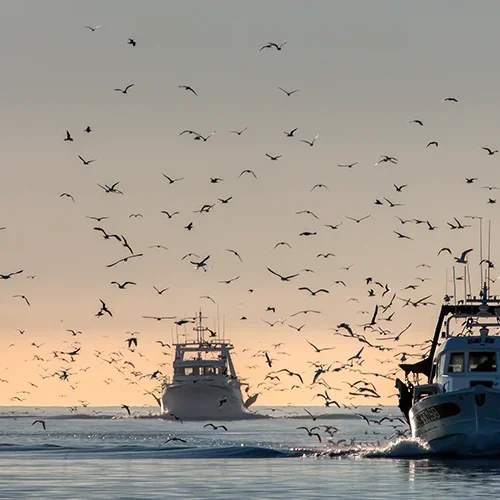 <strong>Vue Sur Mer #531 - Le Grau-du-Roi | 30</strong> <small>© Rémy SALAÜN</small>