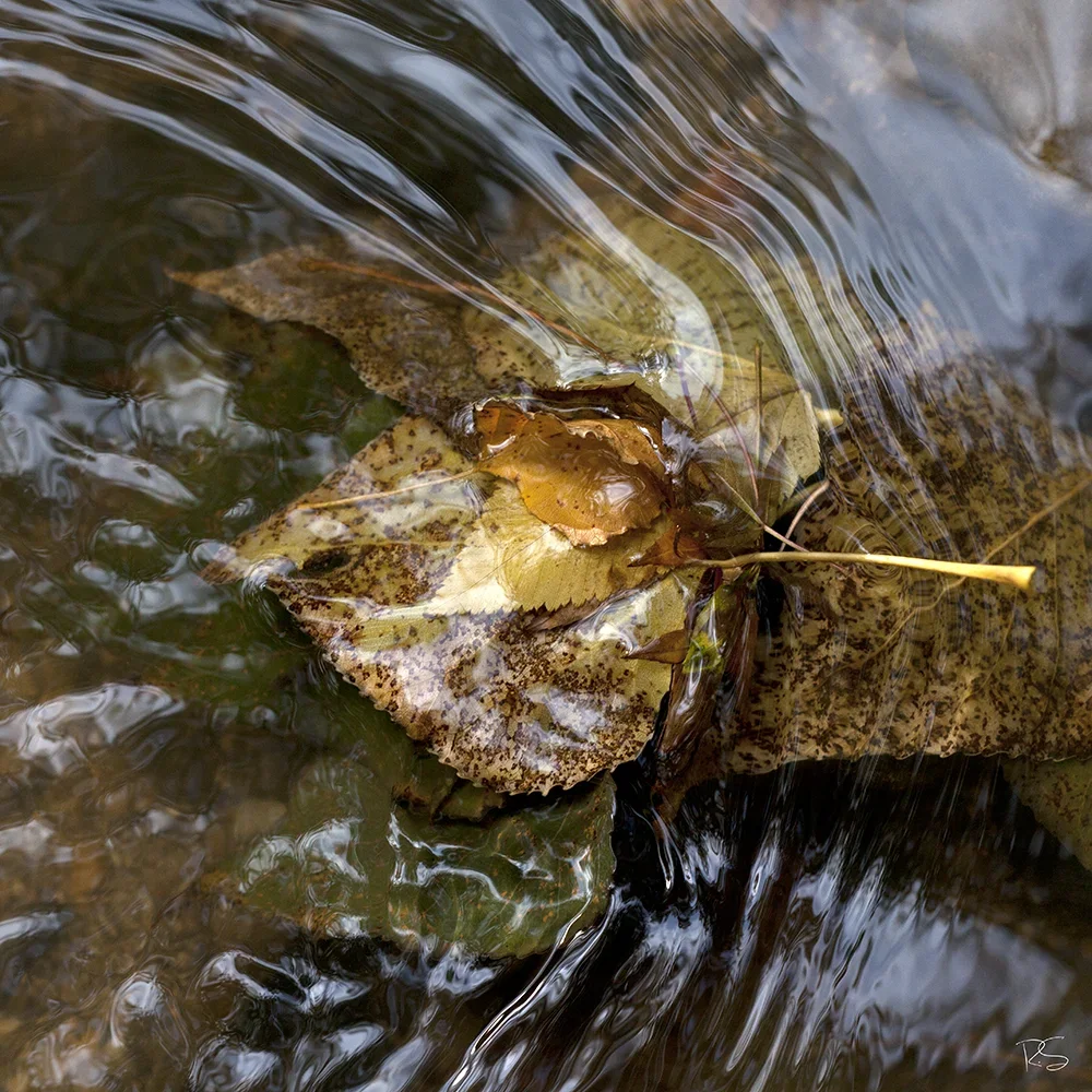 <strong>Fluides #1432 - </strong> <small>© Rémy SALAÜN</small>