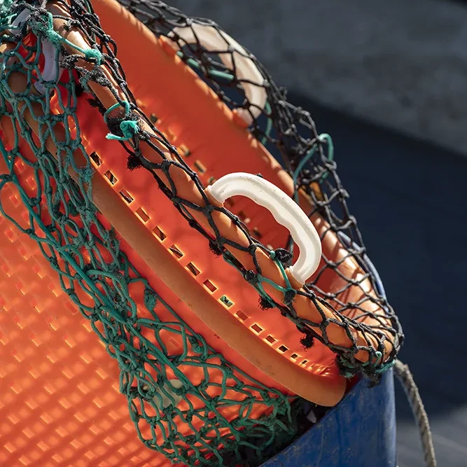 <strong>Couleurs des Ports #498 - Granville | 50</strong> <small>© Rémy SALAÜN</small>