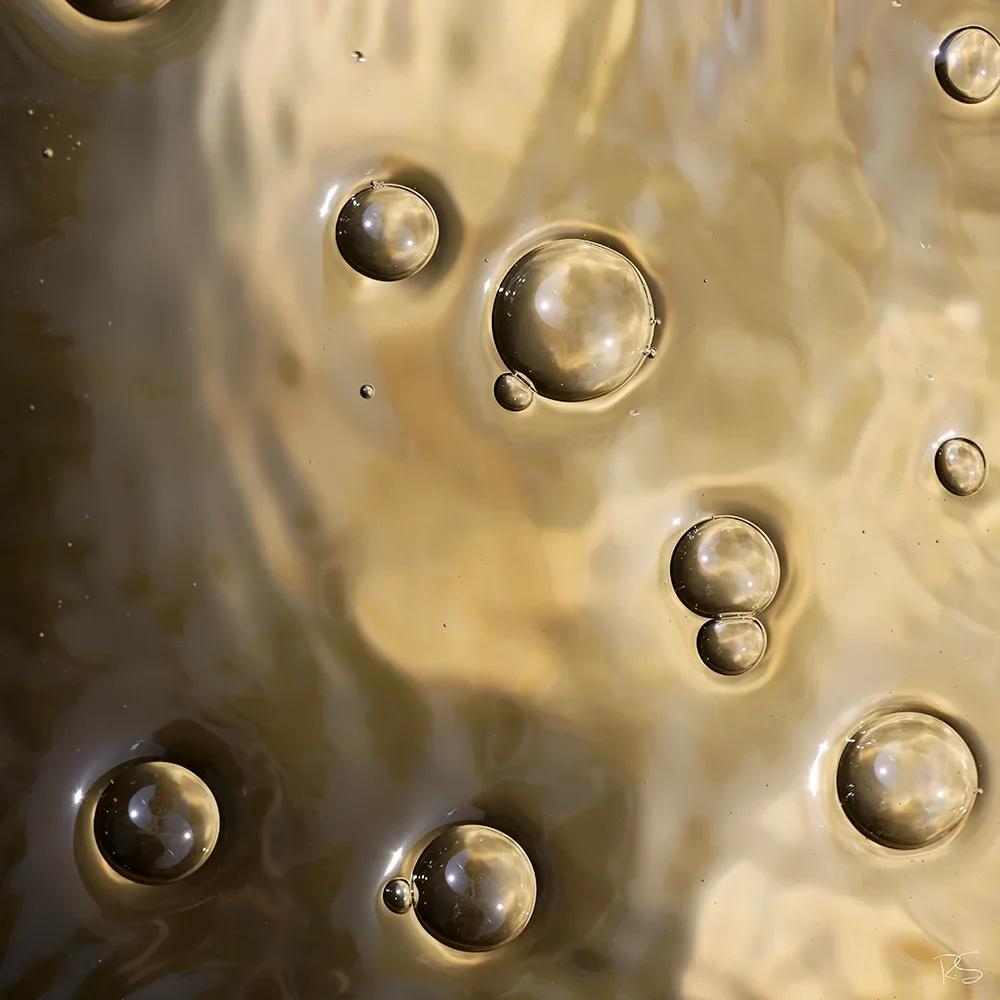 <strong>Fluides #1419 - </strong> <small>© Rémy SALAÜN</small>