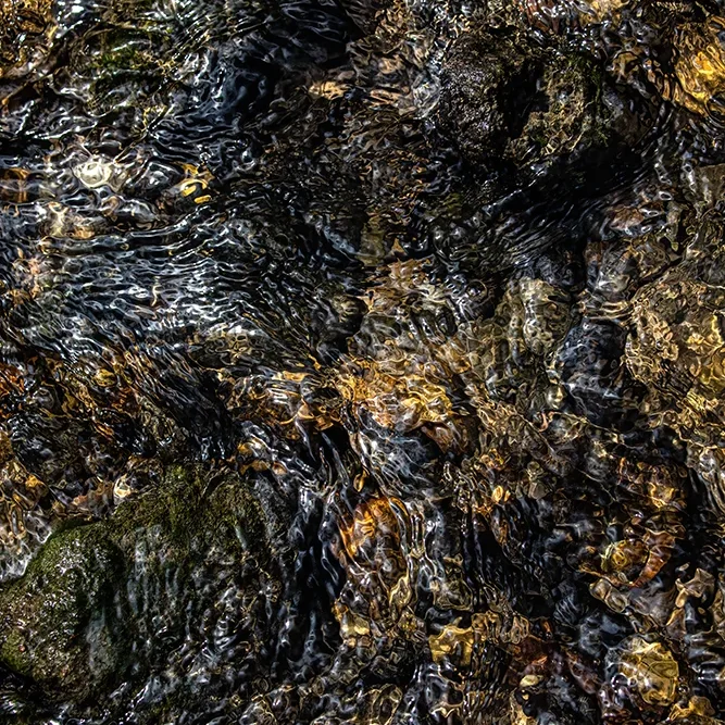 <strong>Fluides #1412 - </strong> <small>© Rémy SALAÜN</small>