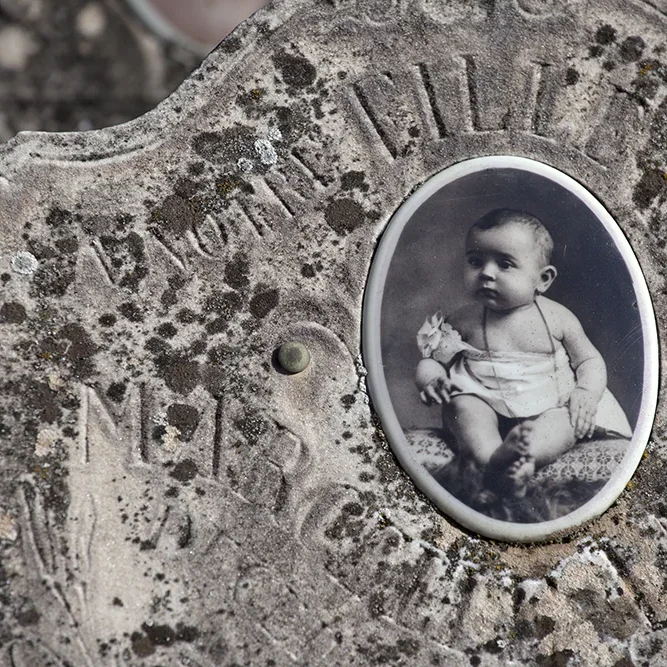 <strong>Chers Disparus #242 - </strong> <small>© Rémy SALAÜN</small>