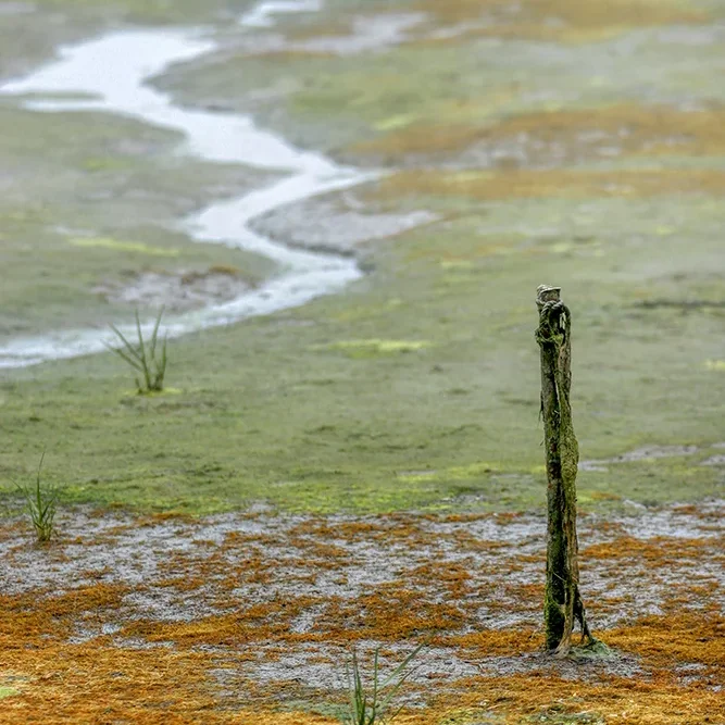 <strong>Paysages #1135 - Sarzeau | 56</strong> <small>© Rémy SALAÜN</small>