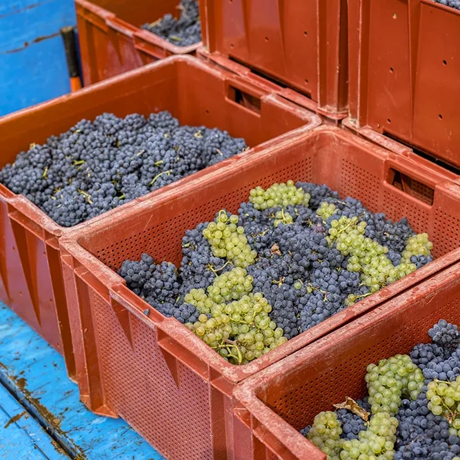 <strong>Paysages #1692 - Crogis | 02</strong> <small>© Rémy SALAÜN</small>