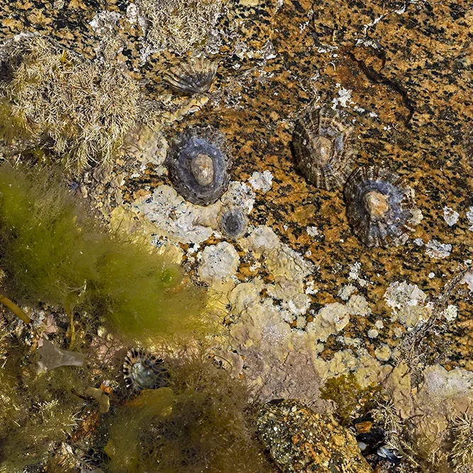 <strong>Vue Sur Mer #691 - Plévenon | 22</strong> <small>© Rémy SALAÜN</small>