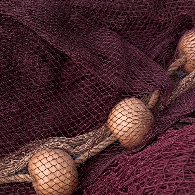 <strong>Couleurs des Ports #446 - Toulon | 83</strong> <small>© Rémy SALAÜN</small>