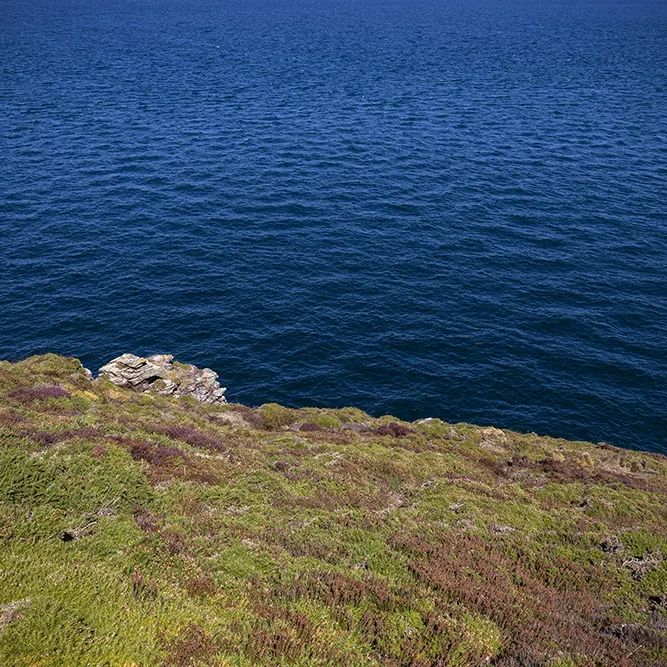 <strong>Vue Sur Mer #733 - Plévenon | 22</strong> <small>© Rémy SALAÜN</small>