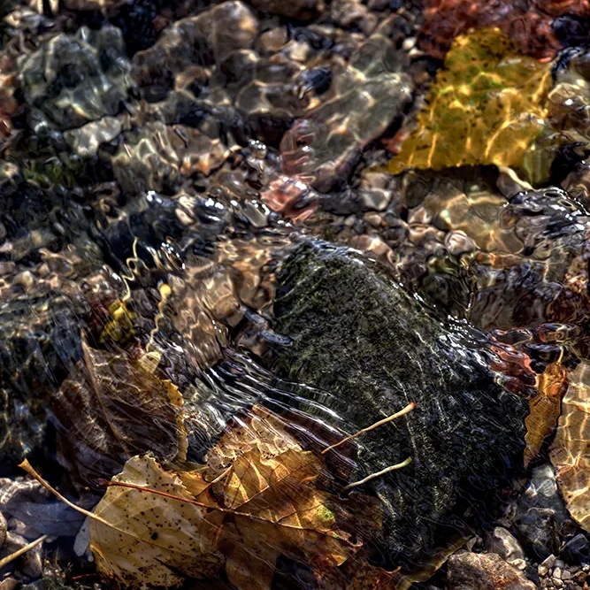 <strong>Fluides #1427 - </strong> <small>© Rémy SALAÜN</small>