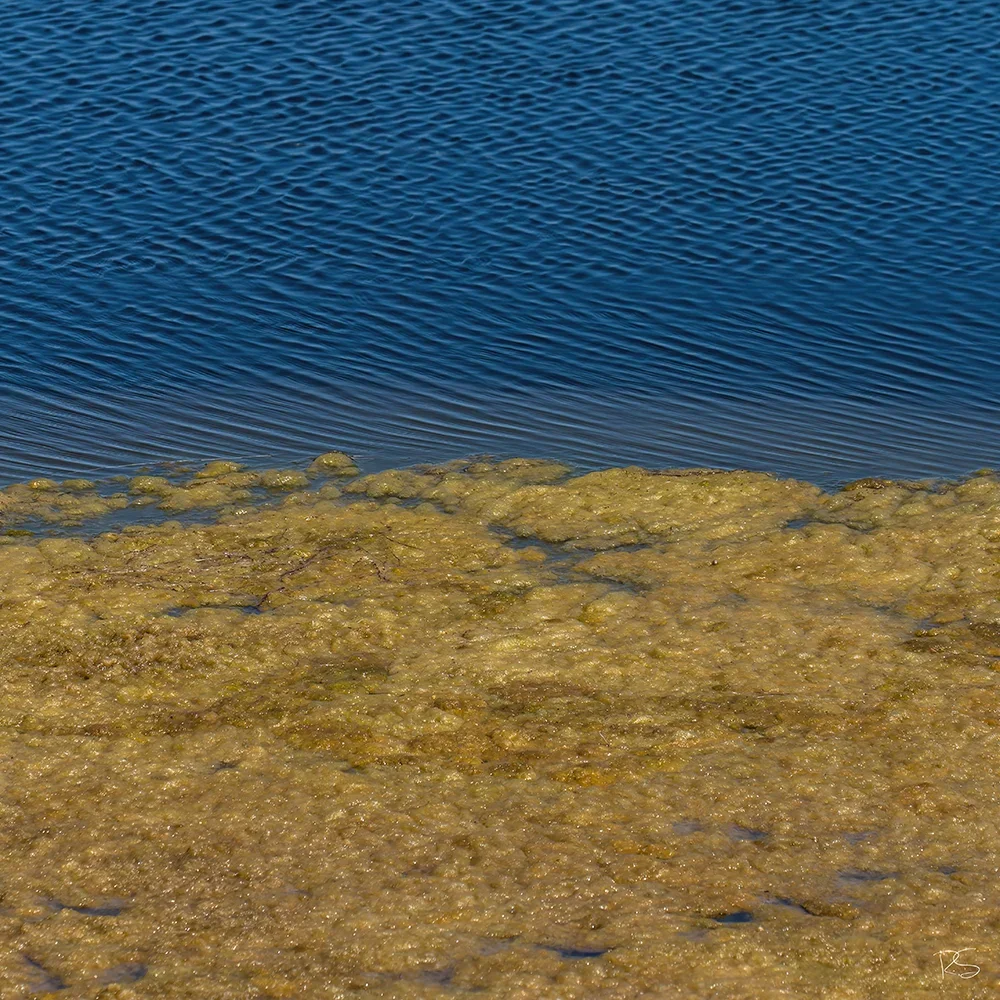 <strong>Fluides #1422 - </strong> <small>© Rémy SALAÜN</small>