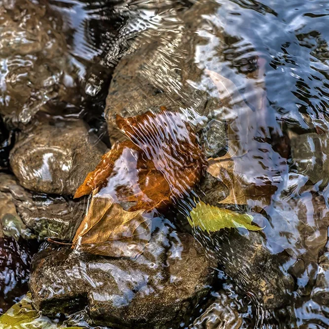 <strong>Fluides #1421 - </strong> <small>© Rémy SALAÜN</small>