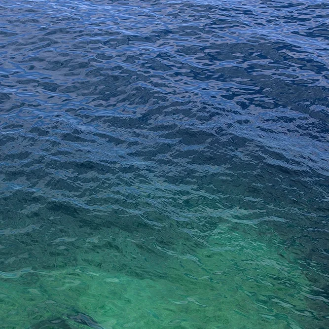 <strong>Fluides #541 - </strong> <small>© Rémy SALAÜN</small>