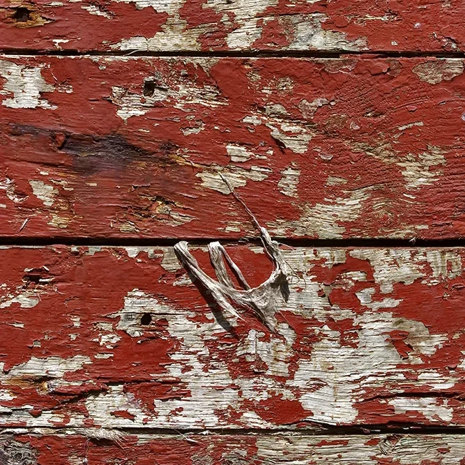 <strong>Couleurs des Ports #448 - Camaret-sur-Mer | 29</strong> <small>© Rémy SALAÜN</small>