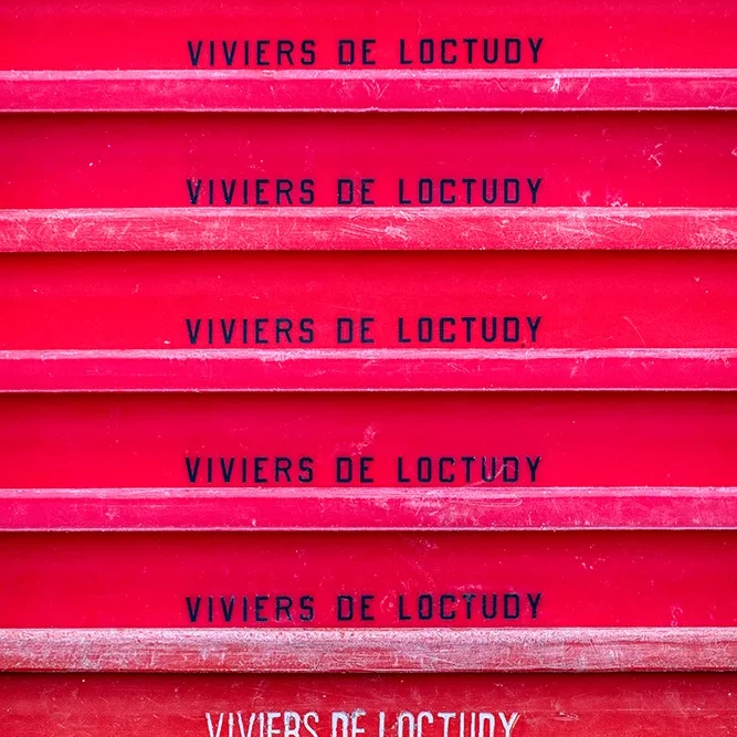 <strong>Couleurs des Ports #457 - Loctudy | 29</strong> <small>© Rémy SALAÜN</small>