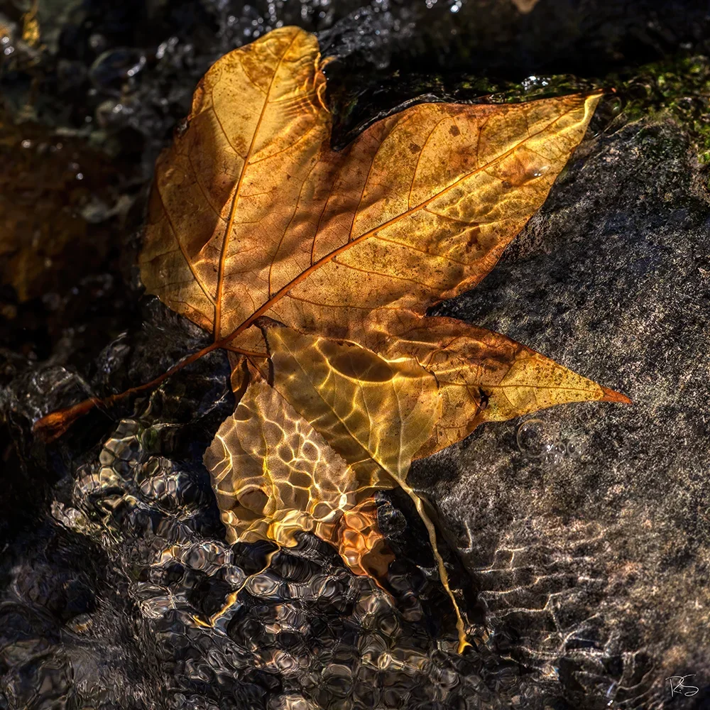 <strong>Fluides #1426 - </strong> <small>© Rémy SALAÜN</small>