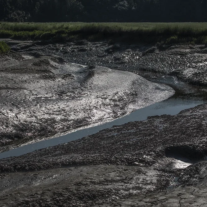 <strong>Paysages #1178 - Pleudihen-sur-Rance | 22</strong> <small>© Rémy SALAÜN</small>