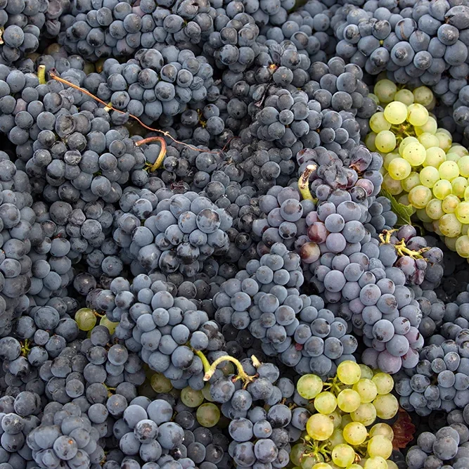 <strong>Paysages #1167 - Crogis | 02</strong> <small>© Rémy SALAÜN</small>