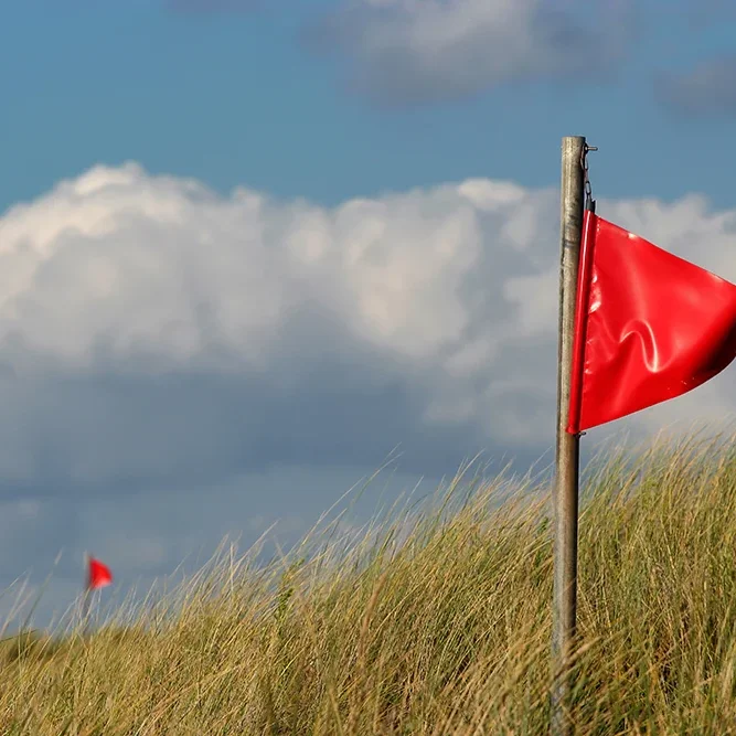 <strong>Vue Sur Mer #546 - Plomeur | 29</strong> <small>© Rémy SALAÜN</small>