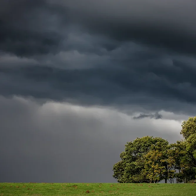 <strong>Paysages #1162 - Montigny-lès-Condé | 02</strong> <small>© Rémy SALAÜN</small>