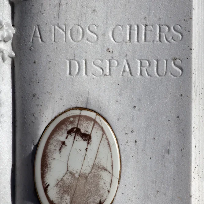 <strong>Chers Disparus #241 - </strong> <small>© Rémy SALAÜN</small>