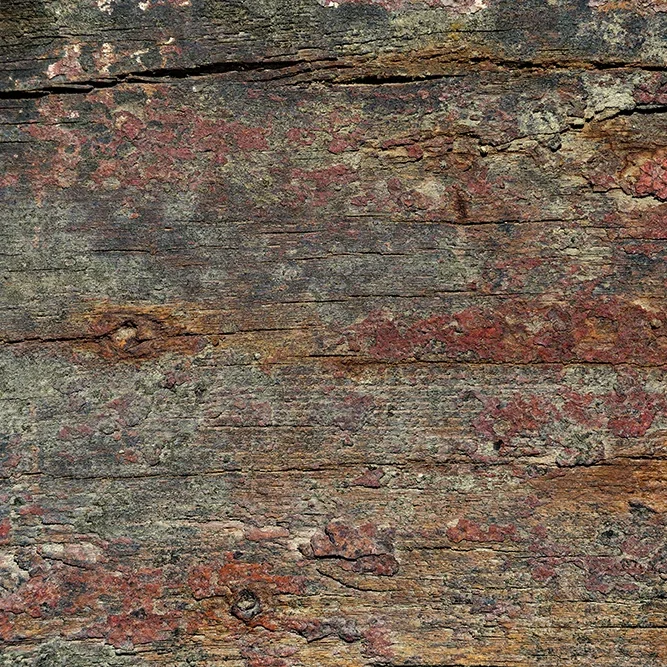 <strong>Textures #1265 - Le Minihic-sur-Rance | 35</strong> <small>© Rémy SALAÜN</small>