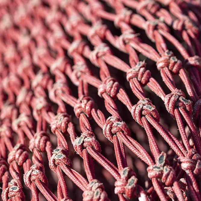 <strong>Couleurs des Ports #488 - Saint-Guénolé (Penmarc'h) | 29</strong> <small>© Rémy SALAÜN</small>