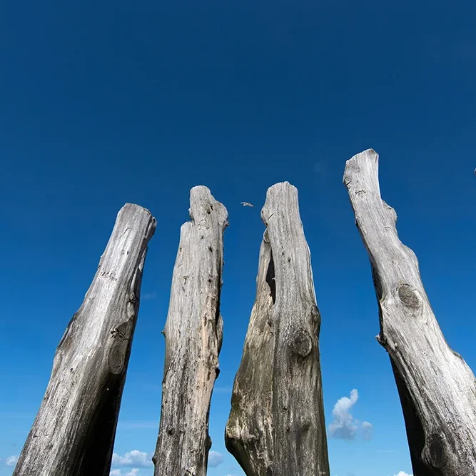 <strong>Vue Sur Mer #572 - Saint-Malo | 35</strong> <small>© Rémy SALAÜN</small>
