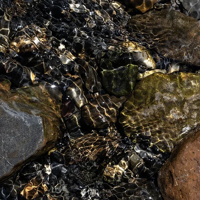 <strong>Fluides #2436 - </strong> <small>© Rémy SALAÜN</small>