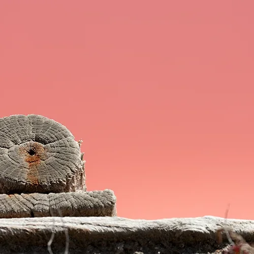 <strong>Paysages #1157 - Aigues-Mortes | 30</strong> <small>© Rémy SALAÜN</small>