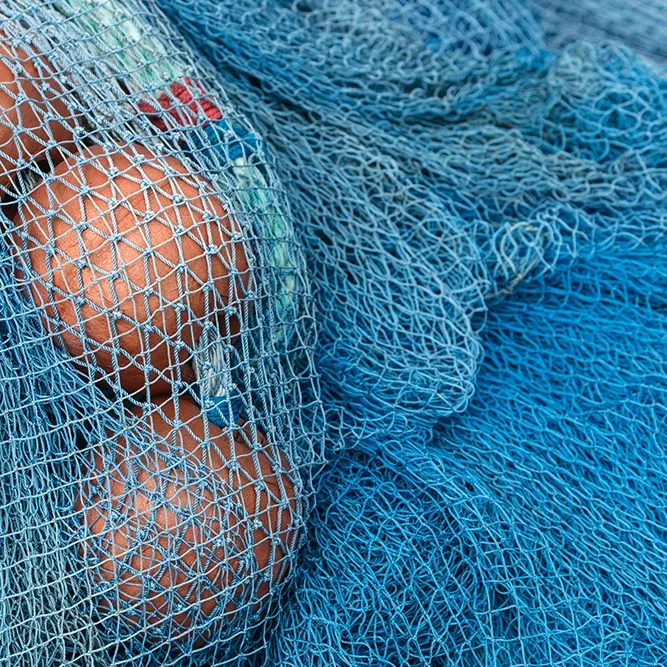 <strong>Couleurs des Ports #427 - Saint-Guénolé (Penmarc'h) | 29</strong> <small>© Rémy SALAÜN</small>