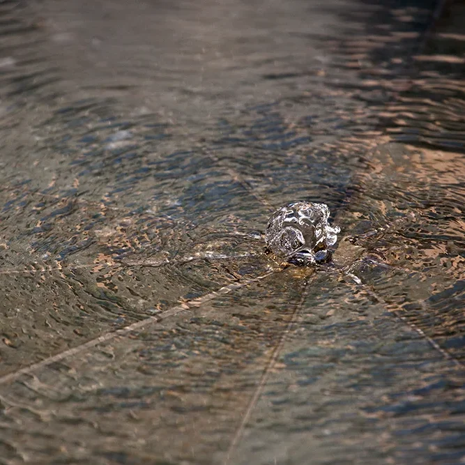 <strong>Fluides #1679 - </strong> <small>© Rémy SALAÜN</small>