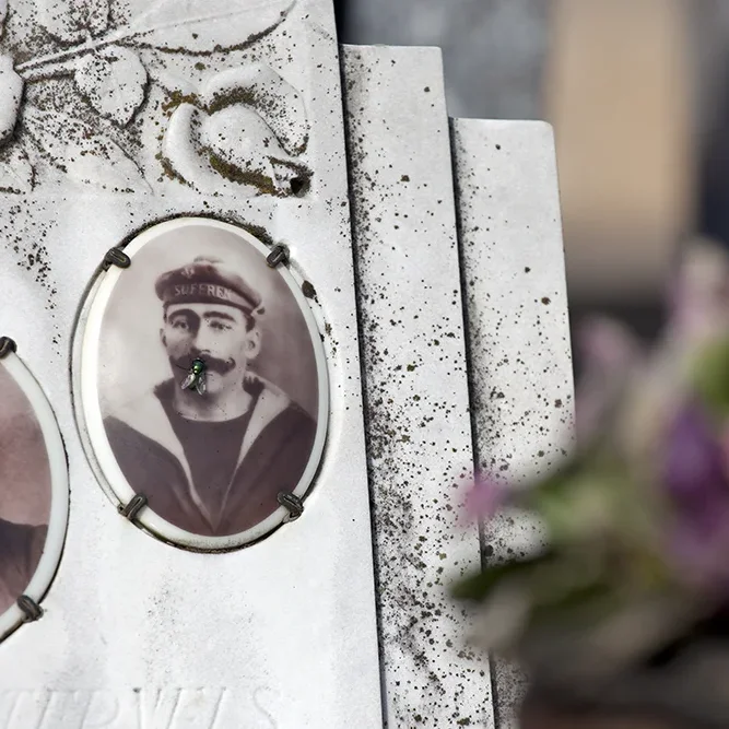 <strong>Chers Disparus #256 - </strong> <small>© Rémy SALAÜN</small>