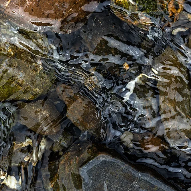 <strong>Fluides #2431 - </strong> <small>© Rémy SALAÜN</small>