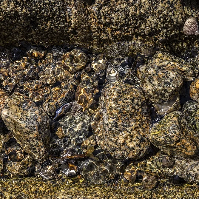 <strong>Fluides #1585 - </strong> <small>© Rémy SALAÜN</small>