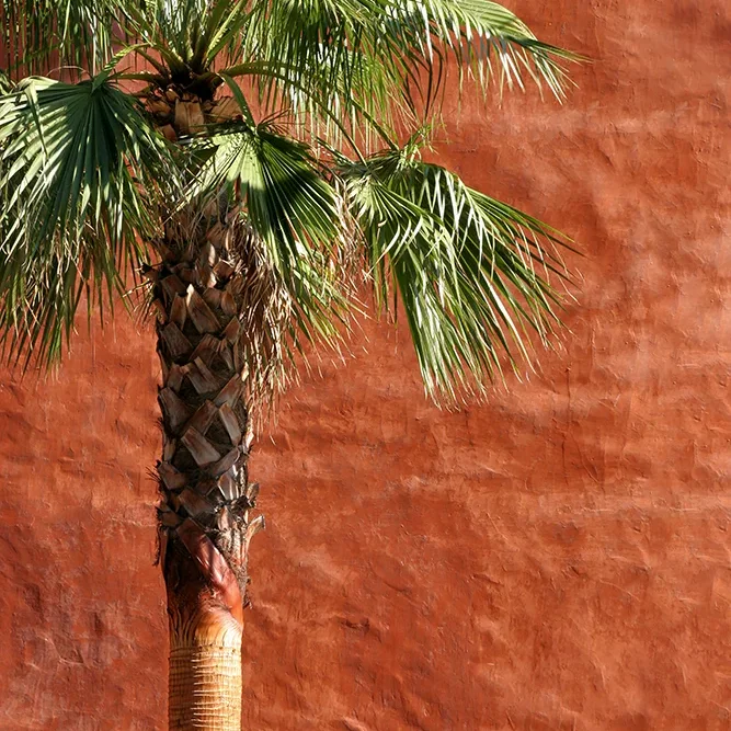 <strong>Architectures #854 - Toulon | 83</strong> <small>© Rémy SALAÜN</small>