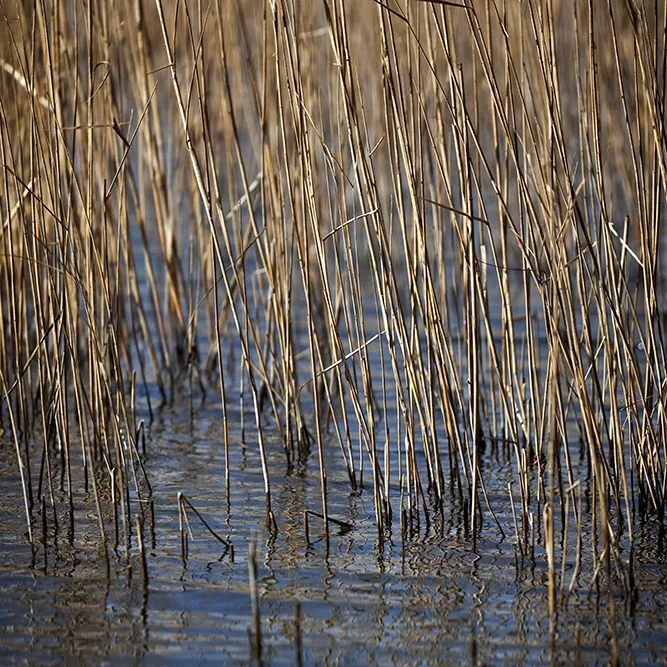 <strong>Paysages #1146 - Saint-Martin-de-Crau | 13</strong> <small>© Rémy SALAÜN</small>