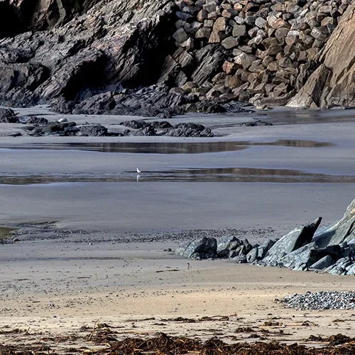 <strong>Vue Sur Mer #565 - Tréguennec | 29</strong> <small>© Rémy SALAÜN</small>