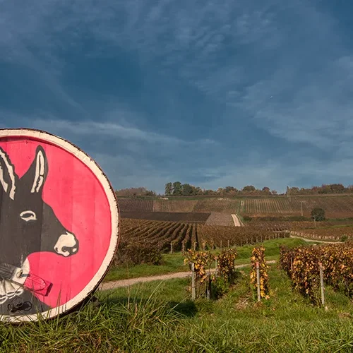 <strong>Paysages #1165 - Gland | 02</strong> <small>© Rémy SALAÜN</small>