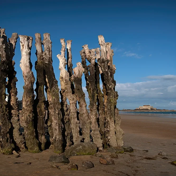 <strong>Vue Sur Mer #676 - Saint-Malo | 35</strong> <small>© Rémy SALAÜN</small>