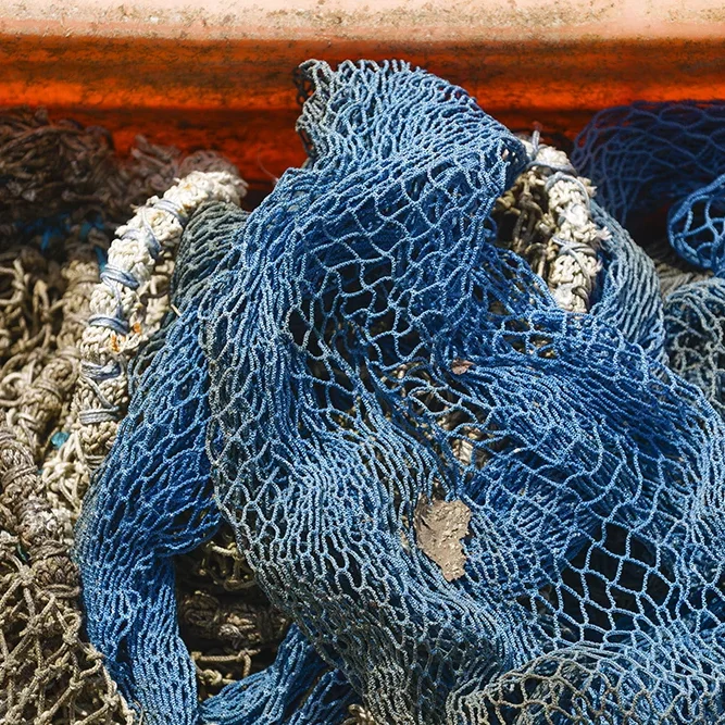 <strong>Couleurs des Ports #3036 - Cayeux-sur-Mer | 80</strong> <small>© Rémy SALAÜN</small>