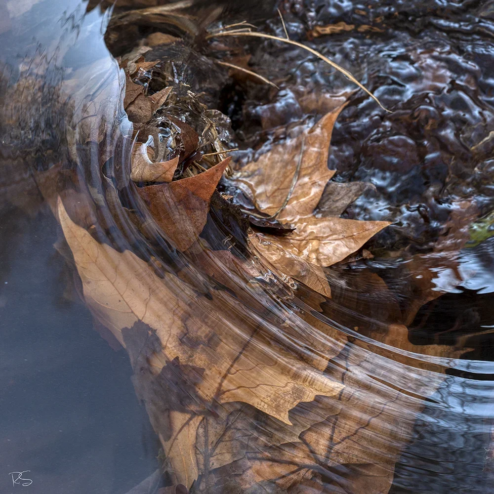 <strong>Fluides #1434 - </strong> <small>© Rémy SALAÜN</small>