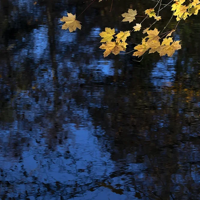 <strong>Paysages #1172 - Dormans | 51</strong> <small>© Rémy SALAÜN</small>