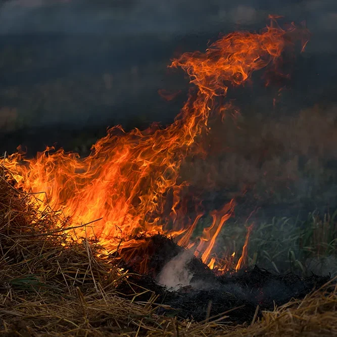 <strong>Paysages #1212 - Fossoy | 02</strong> <small>© Rémy SALAÜN</small>