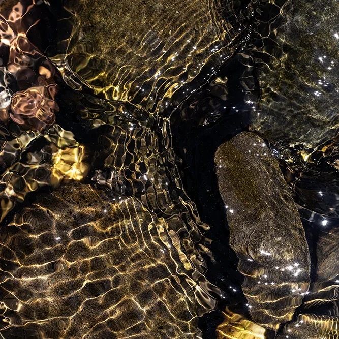 <strong>Fluides #2458 - </strong> <small>© Rémy SALAÜN</small>