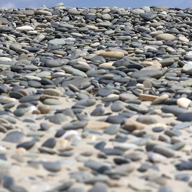 <strong>Vue Sur Mer #581 - Tréguennec | 29</strong> <small>© Rémy SALAÜN</small>