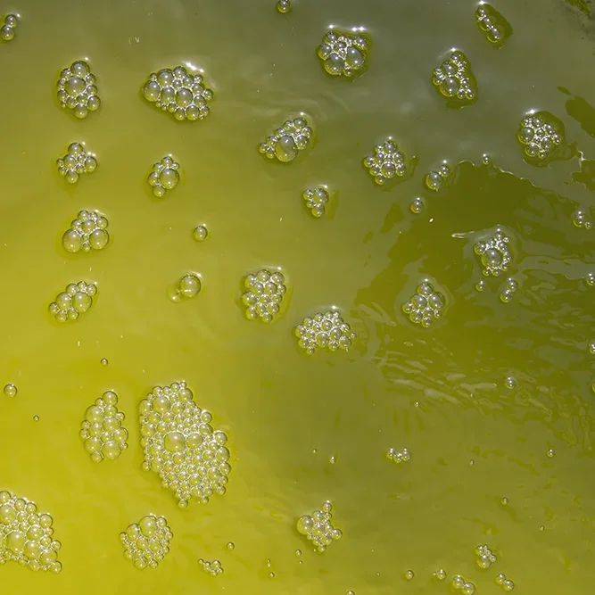 <strong>Fluides #1677 - </strong> <small>© Rémy SALAÜN</small>